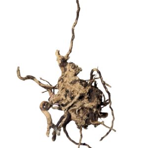 Desert Root S lys naturlig akvarierod snoet 15-30cm Aqualand