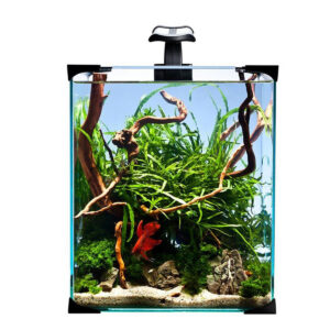 Diversa NanoLED 20 komplet nano akvariesæt 20 liter med LED og filter