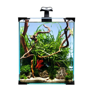 Diversa NanoLED 30 komplet nano akvariesæt 30 liter akvarium