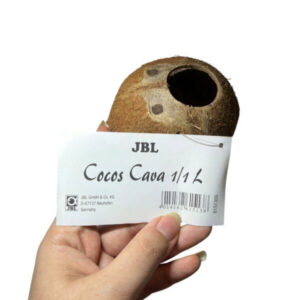 JBL Cocos Cava 1/1 L naturlig kokoshule med ét hul til akvarium hos Aqualand
