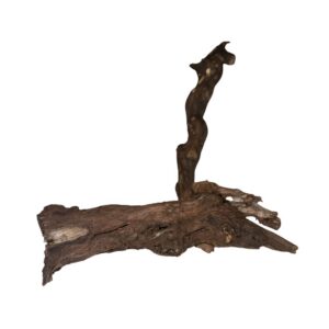 Aquadeco Winewood akvarietræ 20-39 cm naturlig dekoration
