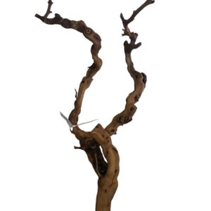 Winewood large 40-70cm naturlig rod til store akvarier Aqualand