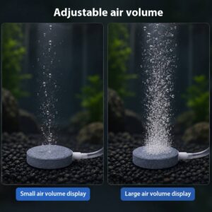 Rund luftsten 10 cm til akvarie med effektiv iltning hos Aqualand