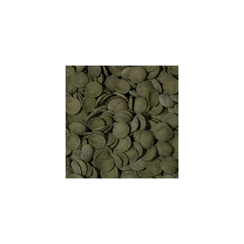 Green Algae Wafers 250 ml 113 g algebaseret foder til bundfisk hos Aqualand