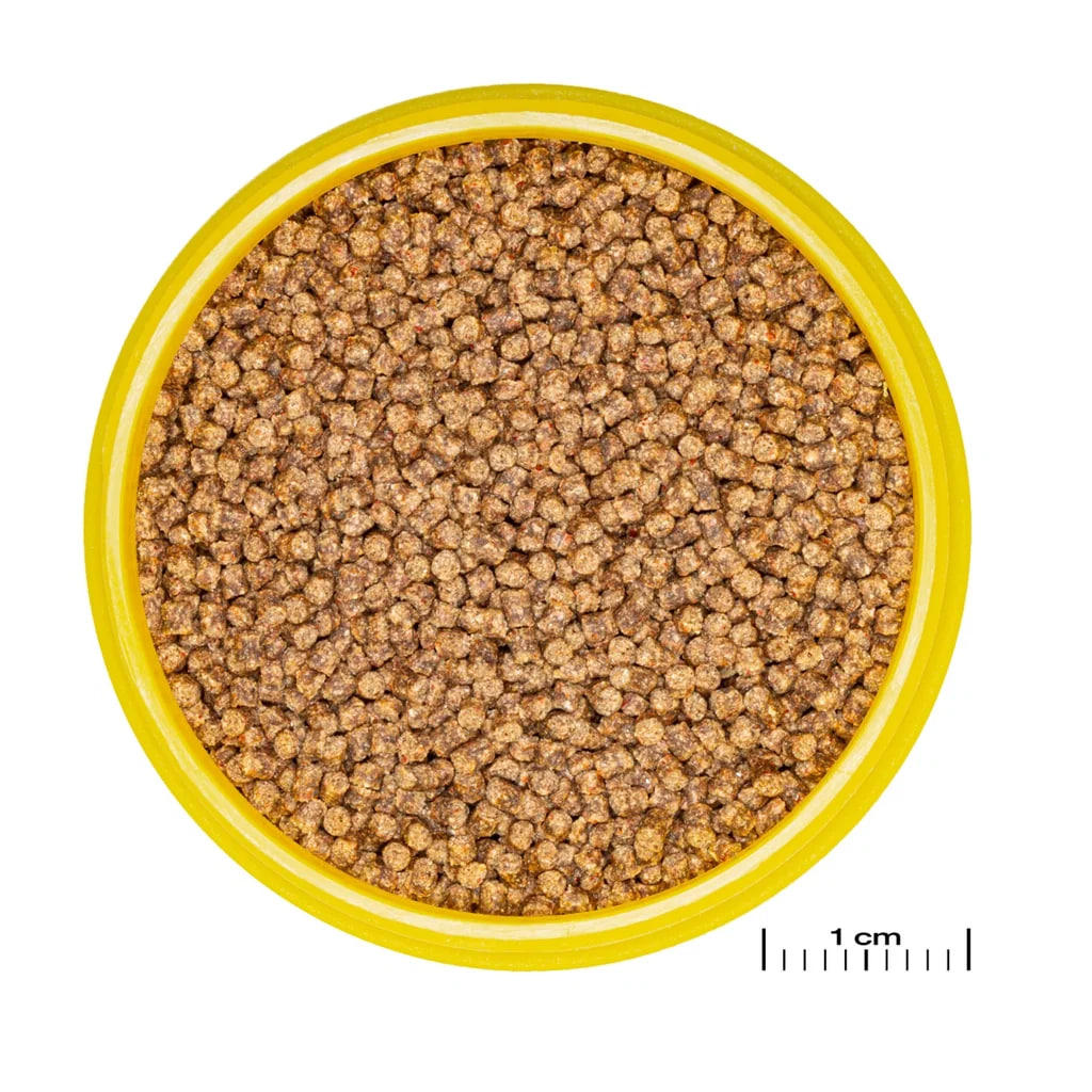 JBL PRONovo LOTL GRANO S 100 ml. CLICK akvariefoder fra Aqualand