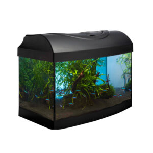 Diversa Startup 40 LED Expert komplet akvariesæt med Claro 300 filter, LED lys og ThermoPlus varmelegeme | Aqualand