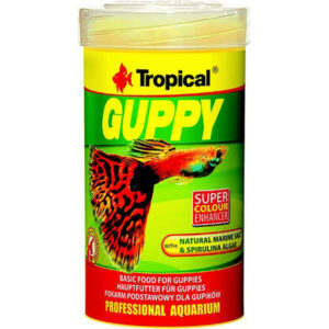 Guppy 100 ml 20 g fine foderflager til guppyer og tandkarper hos Aqualand