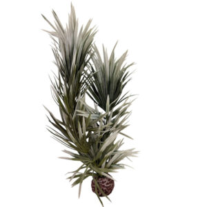 Kunstig akvarieplante sivgrøn 30 cm med stenbase til akvariedekoration | Aqualand