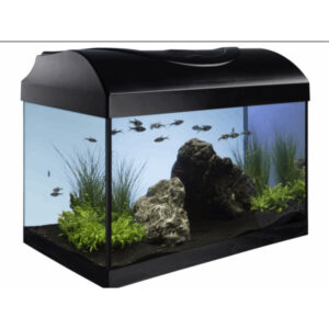 Diversa Startup 50 LED Expert akvariesæt med fladt frontglas, Claro 300 filter, 50W varmelegeme og LED Expert belysning