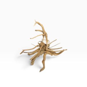 Desert Root naturlig akvarierod 15–20 cm til akvarium og aquascaping