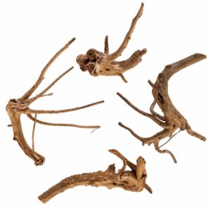 Desert Root naturlig akvarierod 10–15 cm til akvarium og aquascaping