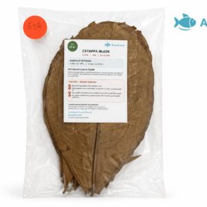 Catappa-blade XXL 25–35 cm 5 stk. til akvarium, rejer, maller og yngel
