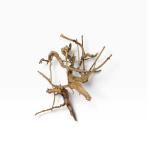 Desert Root naturlig akvarierod 10–15 cm til akvarium og aquascaping