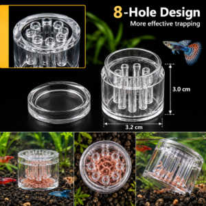 Planaria fælde til akvarium i gennemsigtigt glas med 8 indgangshuller til fangst af planarieorme