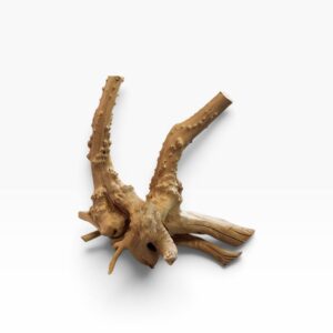 Driftwood 30–45 cm – Ekstra kraftigt naturtræ til akvarium